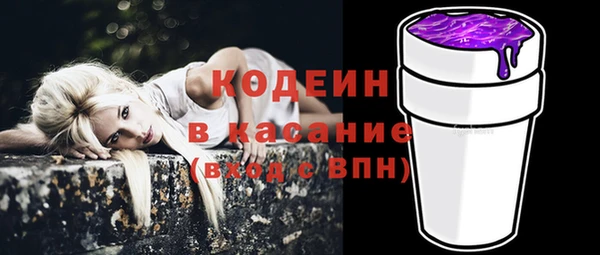 шишки Медвежьегорск