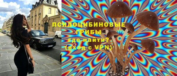 прущая мука Мегион