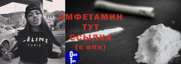 ПСИЛОЦИБИНОВЫЕ ГРИБЫ Михайлов