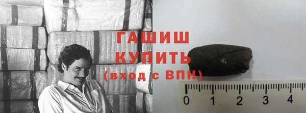 шишки Медвежьегорск
