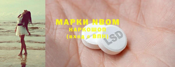 ПСИЛОЦИБИНОВЫЕ ГРИБЫ Михайлов