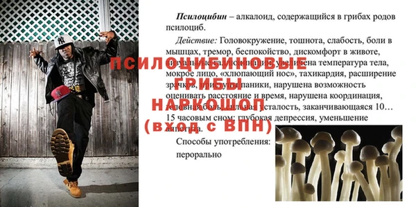 ПСИЛОЦИБИНОВЫЕ ГРИБЫ Михайлов