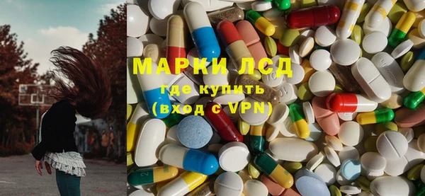 шишки Медвежьегорск