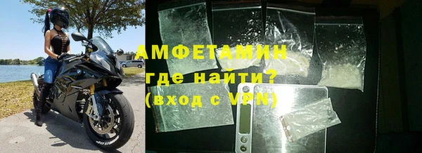 шишки Медвежьегорск