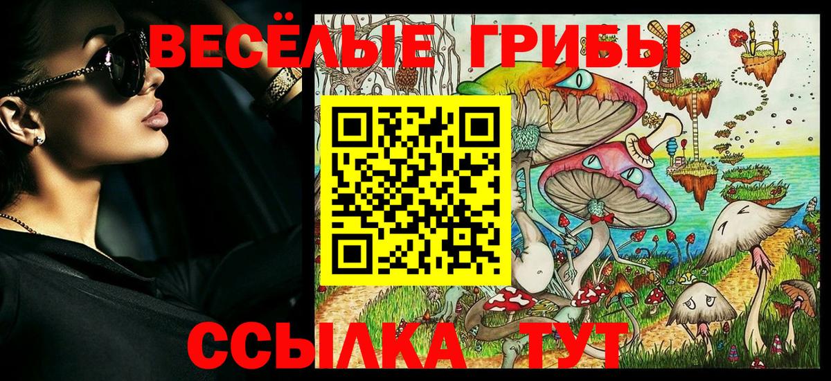 цены   Новоалтайск  Псилоцибиновые грибы Magic Shrooms  Псилоцибиновые грибы прущие грибы 