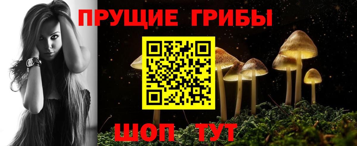 Галлюциногенные грибы MAGIC MUSHROOMS Новоалтайск